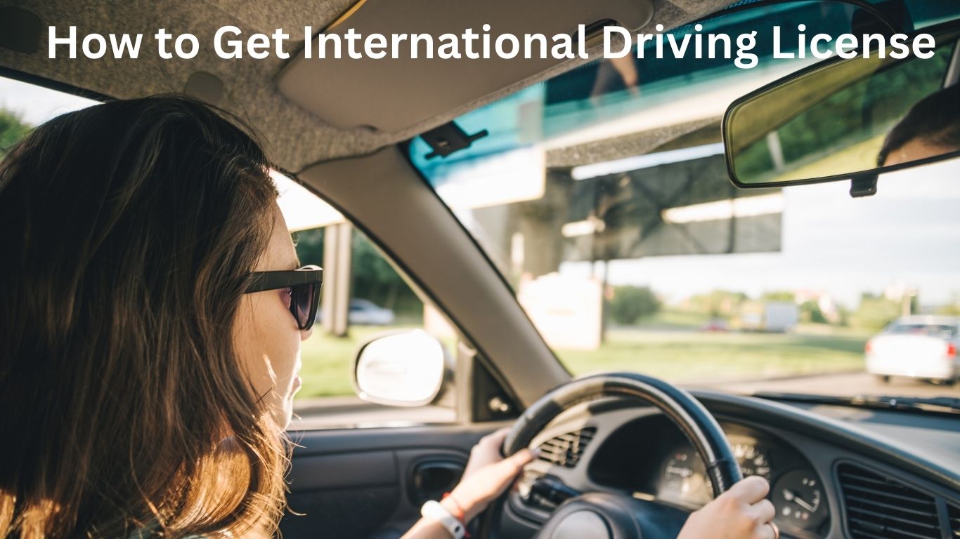 International Driving License